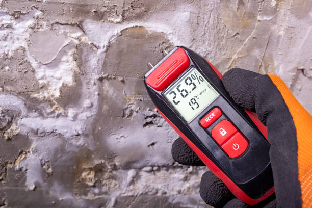 Best Post-Remediation Services in Keasbey, NJ