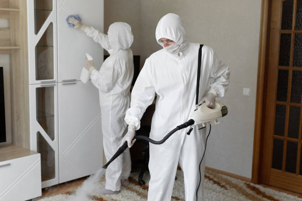 Best Post-Flood Mold Remediation in Keasbey, NJ