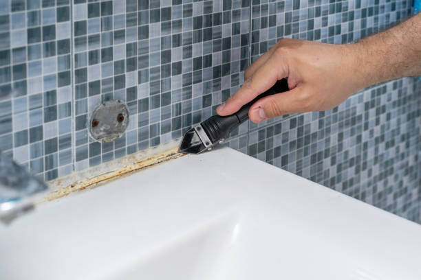 Best Insurance-Related Mold Remediation in Keasbey, NJ