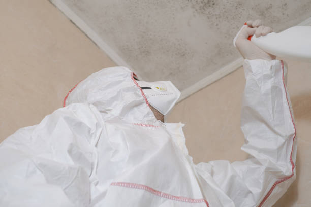 Best Kitchen Mold Remediation in Keasbey, NJ