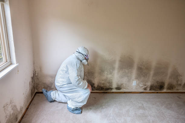 Best Industrial Mold Remediation in Keasbey, NJ