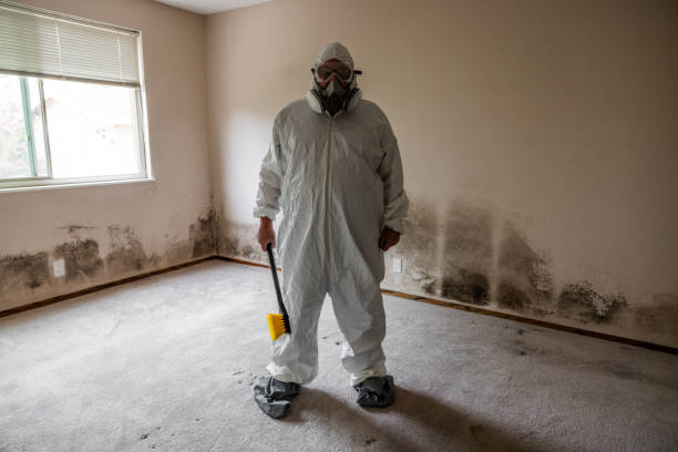 Keasbey, NJ Mold Remediation Company